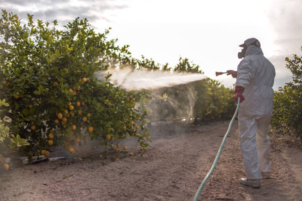 Best Best Pest Control Companies  in Aberdeen, MD